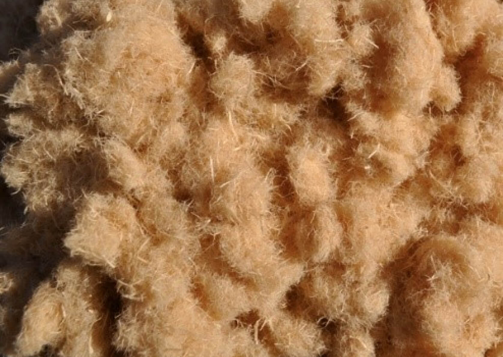 Holzwolle als Dämmstoff. Nachhaltiger Baustoff aus unbehandeltem Holz